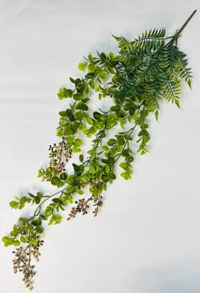 Адиантум с ягодкой