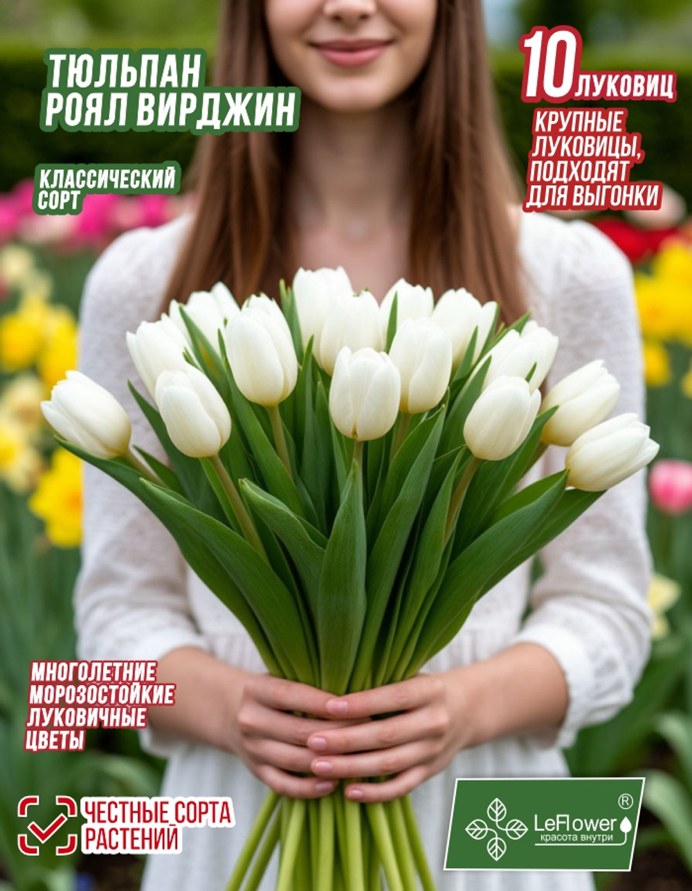 Тюльпан Роял вирджин, 10 луковиц, крупные