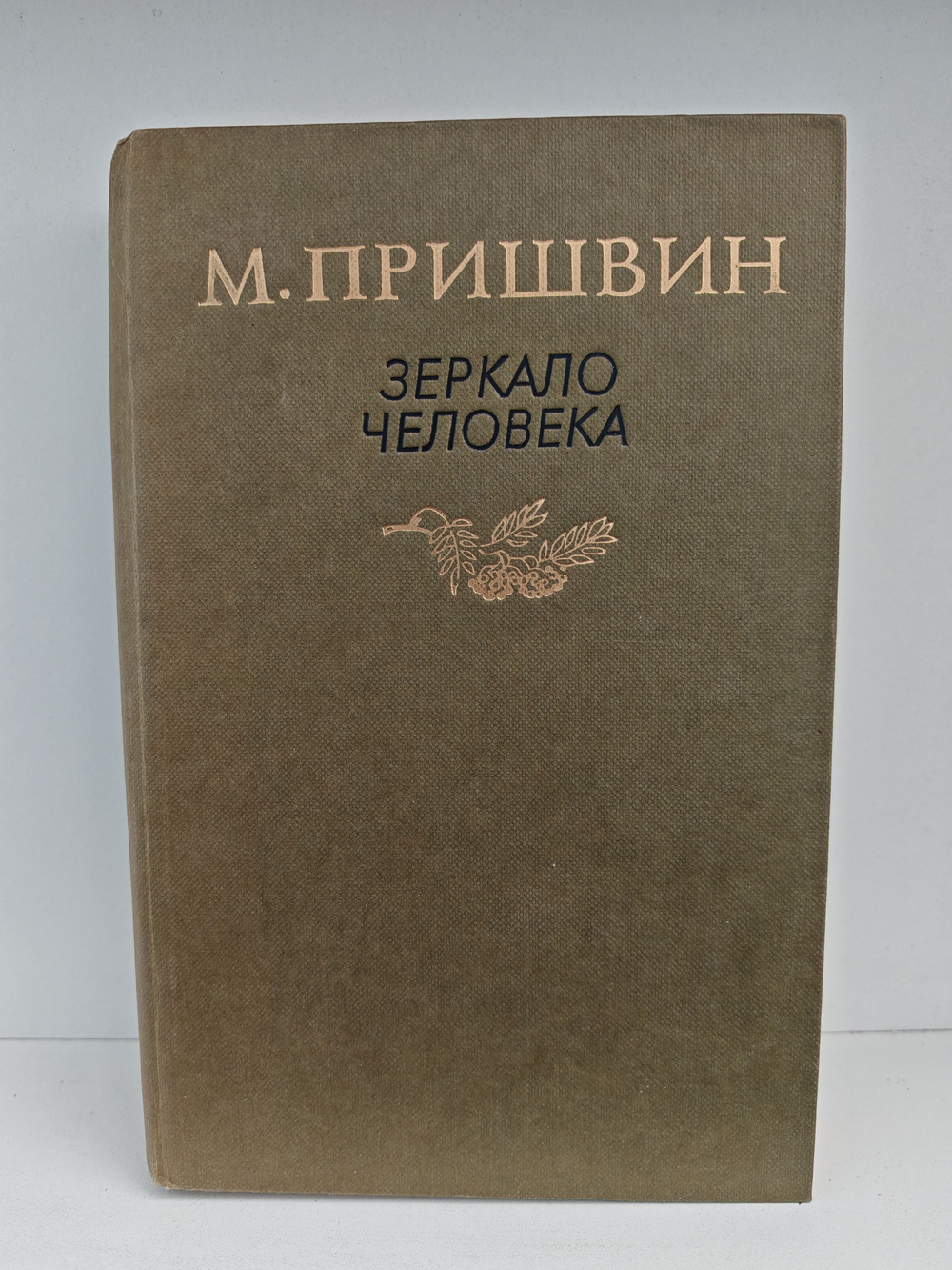 Зеркало человека