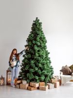 Большая елка «Рублевская Сосна» (Леска) 3,5 м