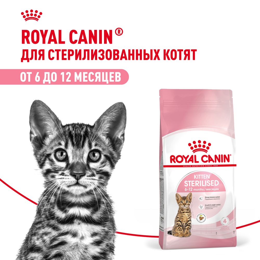 Royal Canin Kitten Sterilised Киттен Стерилайзд Корм сухой для стерилизованных котят с момента операции до 12 месяцев 3,5кг