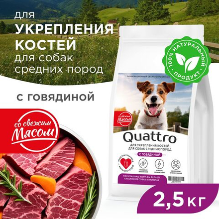Корм сухой для взрослых собак средних пород, премиум полнорационный комплекс, укрепление костей, с говядиной, 2,5 кг, QUATTRO