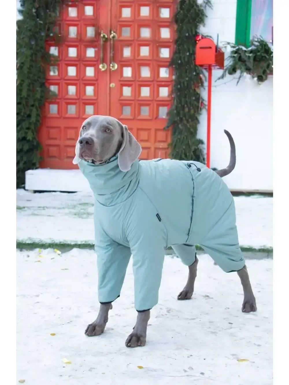 Комбинезон для собак крупных средних пород теплый