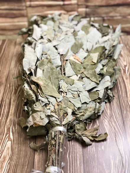 Веник Ивовый
