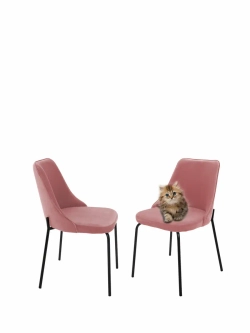 Стул "Флорес" 2 шт. Антивандальная ткань, Дизайнерские ножки