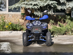 Lion 125 RR синий хаки