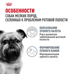 Сухой корм Royal Canin Mini Dental Care для собак мелких размеров, предрасположенных к образованию зубного камня