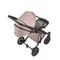 Коляска ANEX e/type 2 в 1 pixie