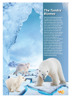 The Desert  Biome (Discover Our Amazing World). Reader with cross-platform application. Книга для чтения (с ссылкой на электронное приложение)