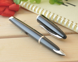 Перьевая ручка Waterman Carene, цвет: Black ST, перо: F или М чернила: blue