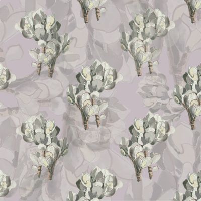 Каменная Роза суккуленты