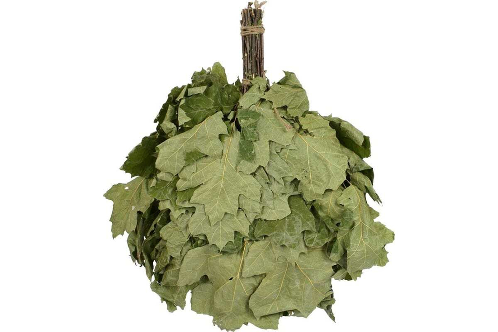 ВЕНИКИ КАНАДСКИЙ БАНННЫЕ ШТУЧКИ ДУБ БОГАТЫРЬ 25