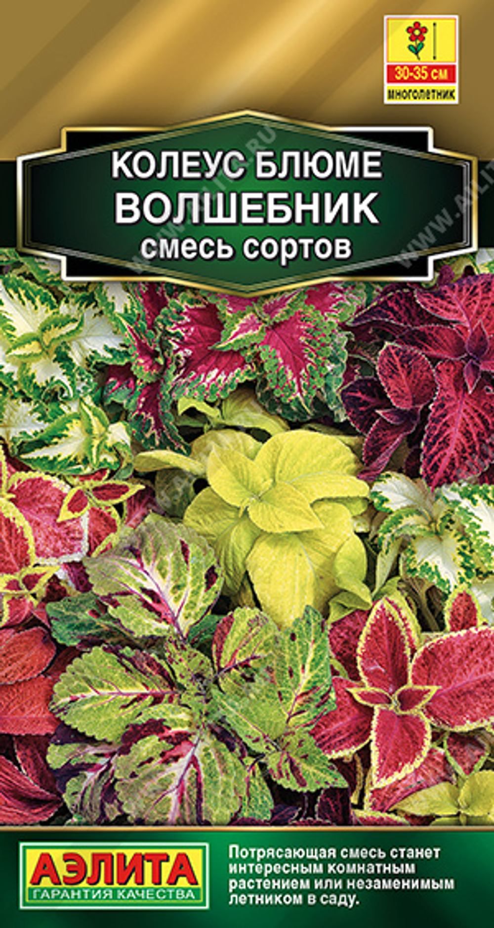 Колеус блюме Волшебник, смесь сортов 5 шт (Аэлита)