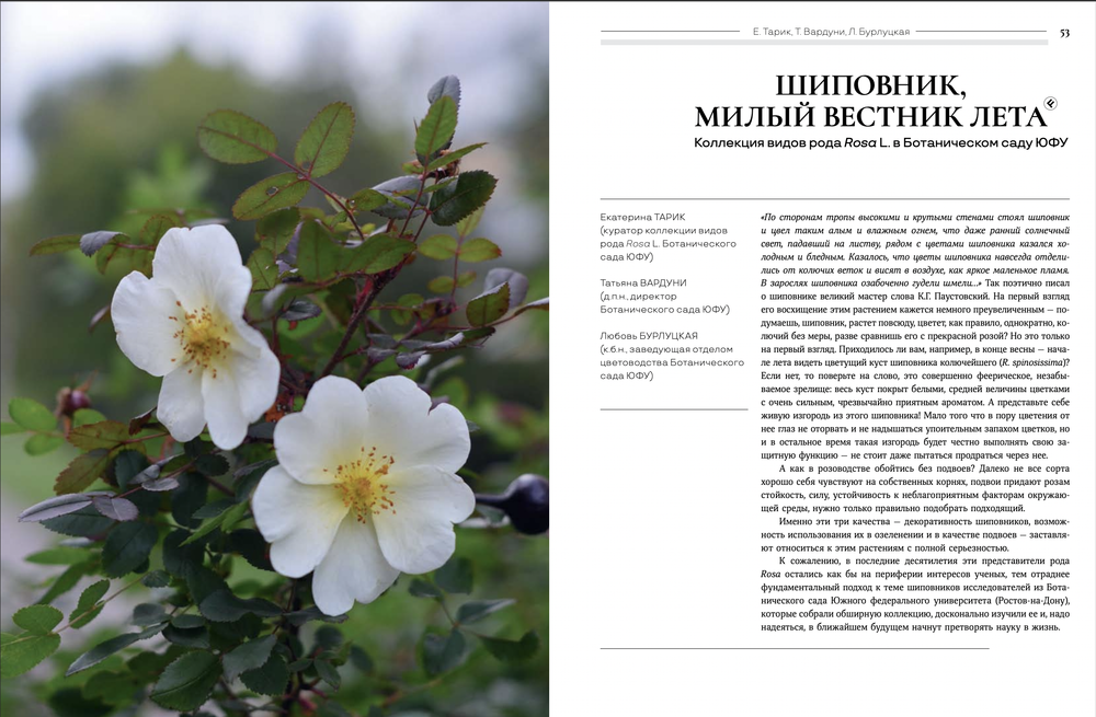 Цветоводство ЛЕТО 2023