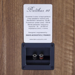 Напольная акустика Davis Acoustics Balthus 90