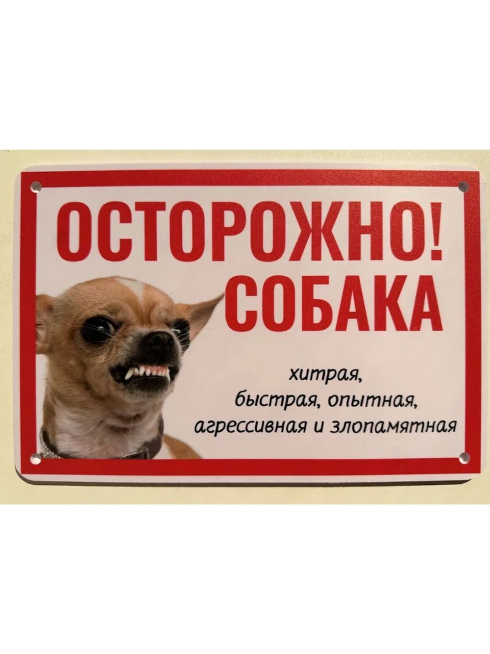 Табличка "Осторожно быстрая собака"