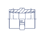 Соединение PS BSPT 1" BSPT 1"