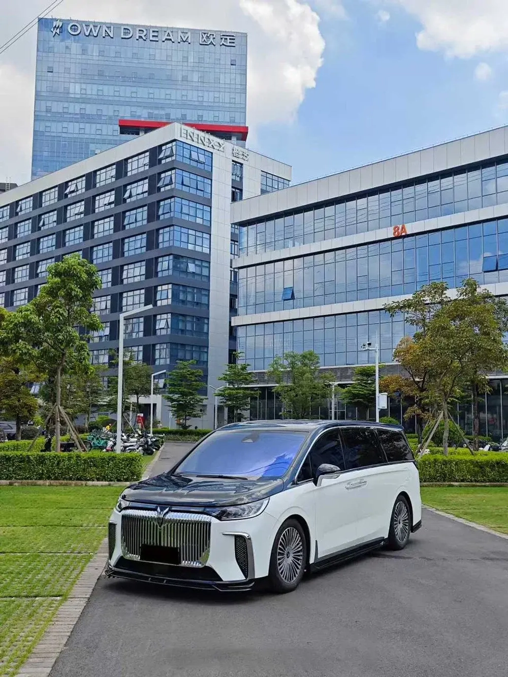 Обвес для Voyah Dream 2022-2025+ губа юбки диффузор