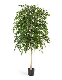 Деревья высота до 240см Treez