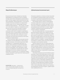 Зеленый дом. Самое понятное руководство по уходу за комнатными растениями