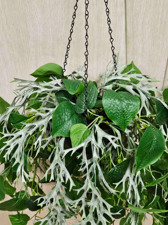 Искусственные растения Олений Рог и Сциндапсус в подвесном кашпо