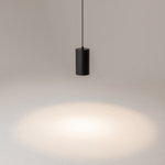 Подвесной светильник Maytoni P100PL-20W4K-B