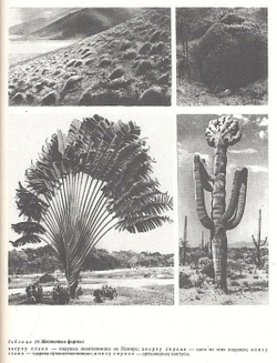 Жизнь растений. Энциклопедия в 6-ти томах (комплект из 7-ми книг)