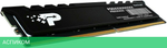 Оперативная память Patriot Signature Premium 16GB DDR5 RTL (PSP516G480081H1)