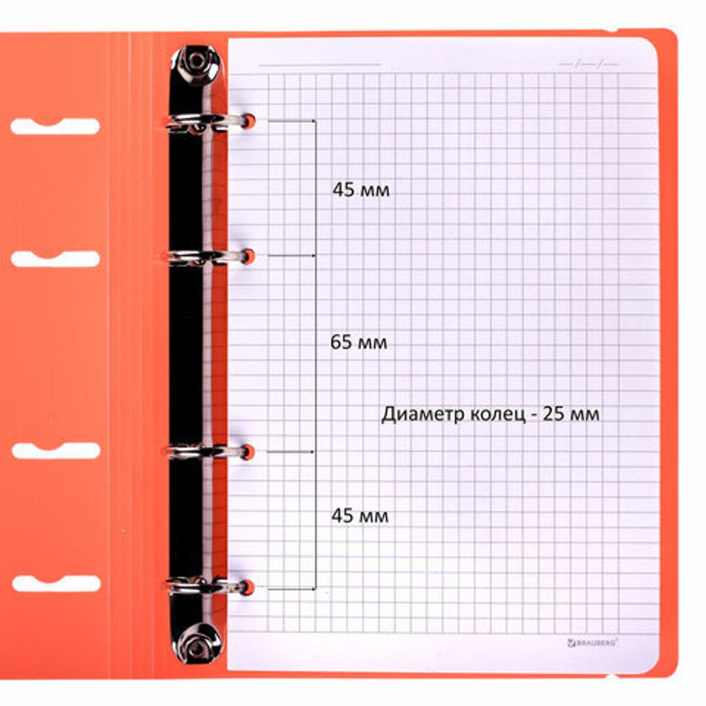 Тетрадь на кольцах А5 175х220 мм, 120 л., пластик, с резинкой, BRAUBERG, Коралловый, 404621