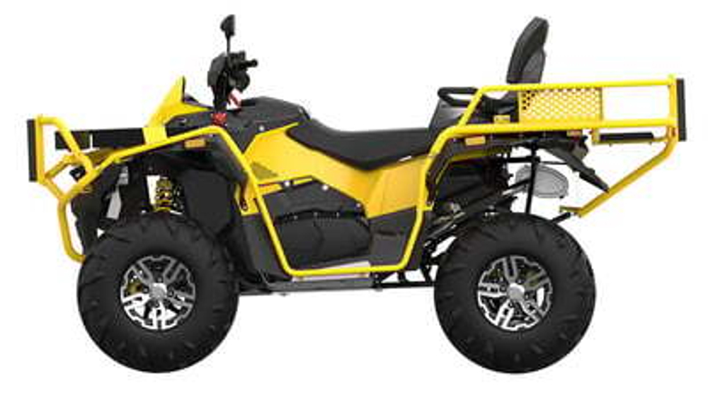 Квадроцикл СТЕЛС ATV 800 GUEPARD FF Trophy EPS Cargo 2.0 (ПСМ)