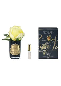 Диффузор Бутон розы диффузор ROSE BUD Cote Noire Черный / Золотой / Желтый