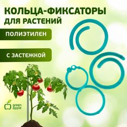 GPCR-2 GREEN APPLE Кольцо фиксатор цепочка | GREEN APPLE