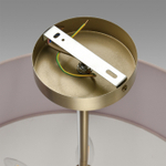 Потолочная светодиодная люстра Aployt Delfin APL.774.07.54