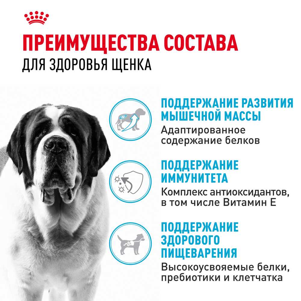 Сухой корм Royal Canin Giant Junior для щенков очень крупных пород в возрасте от 8 до 18/24 месяцев 15кг