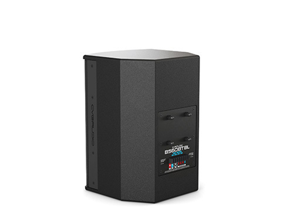 CVGAUDIO BS608TBL двухполосная корпусная акустическая система