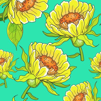 Ромашка, маргаритки, герберы, хризантемы.