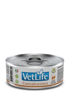 Фармина VetLife Convalescence консервы для кошек 85 гр