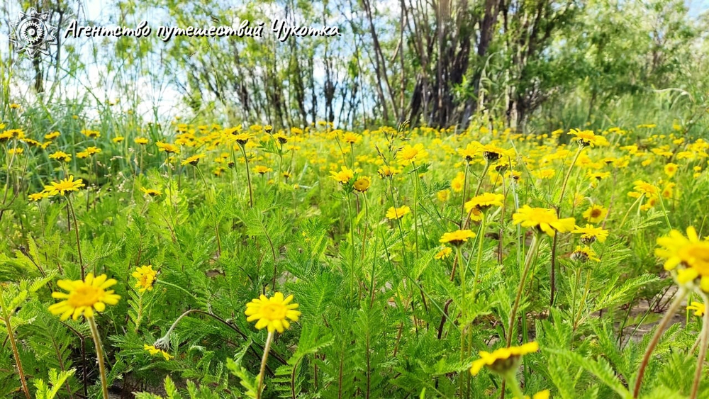 Путешествие на реку Тавайваам