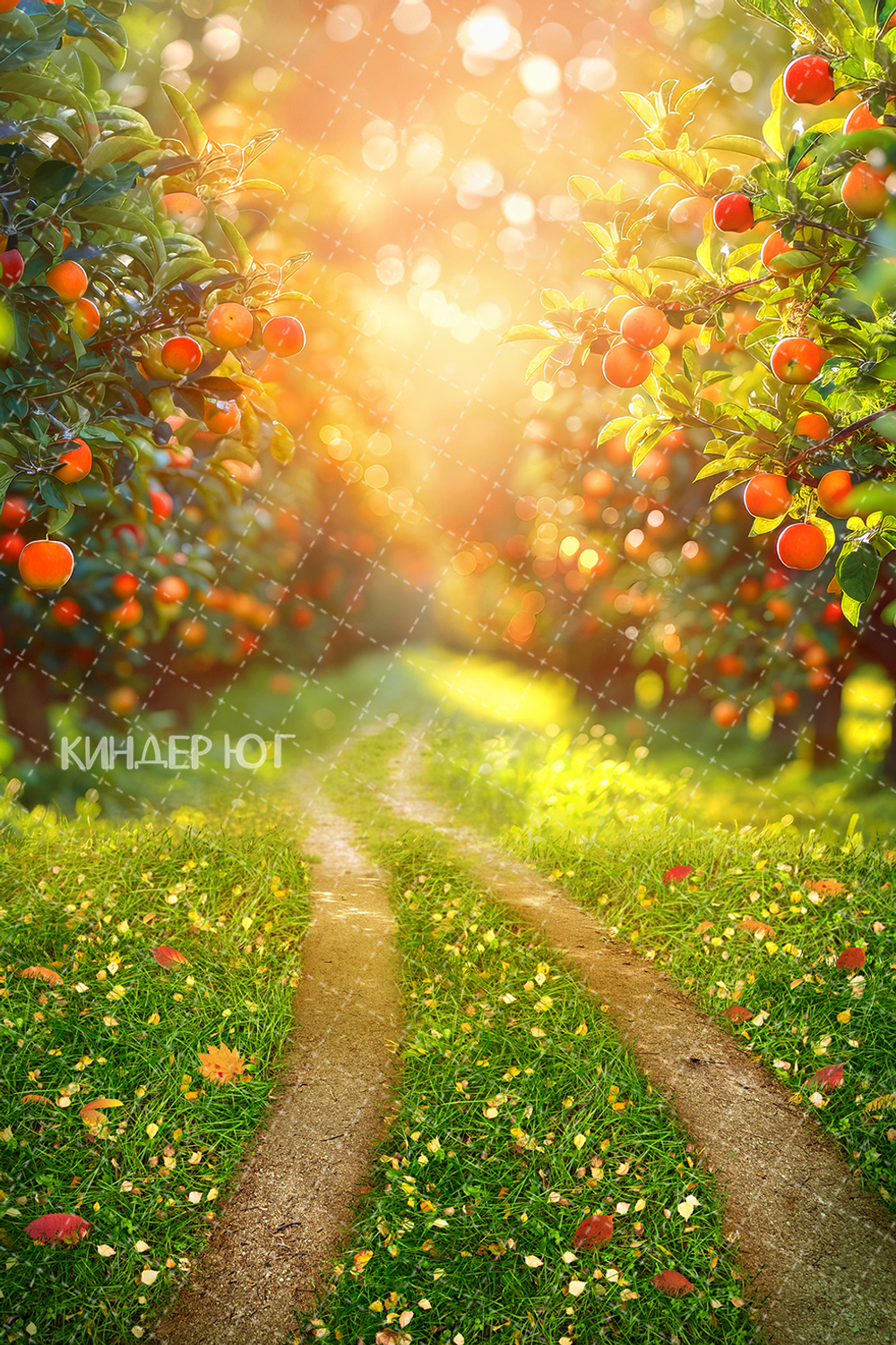 Фотофон "Яблоневый сад" арт. ФФ903-13