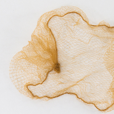 ASS 08-01-03 | Сеточка для укладки волос