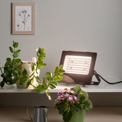 Фитопрожектор для растений светодиодный ЭРА FITO-50W-Ra90-LED для цветения и плодоношения полного спектра 50 Вт | Фито прожекторы