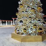 светящаяся "Шароель"