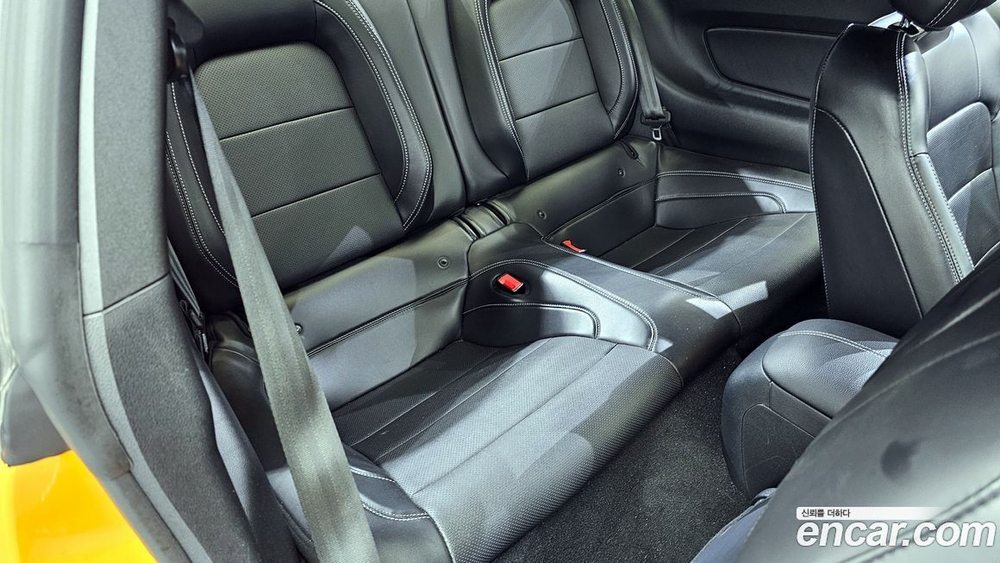Ford Mustang GT Coupe (12.2019)