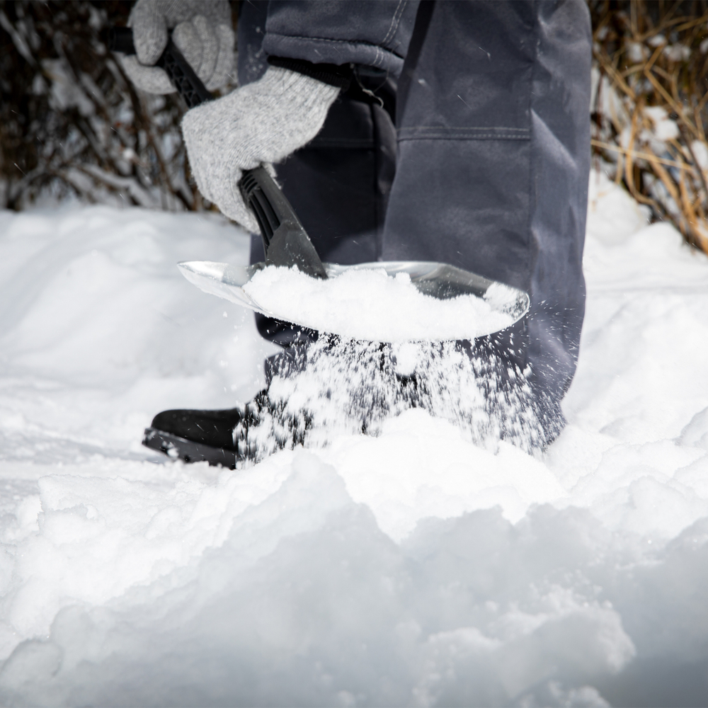 Лопата универсальная алюминиевая, 205 х 280 х 640 мм, пластиковый черенок, Сибртех