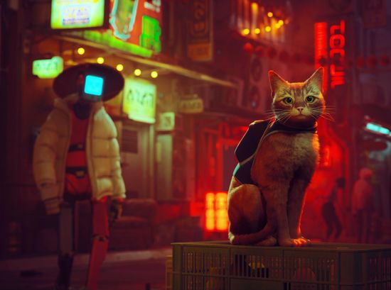 Stray (Б/У)  [PS4, русские субтитры]