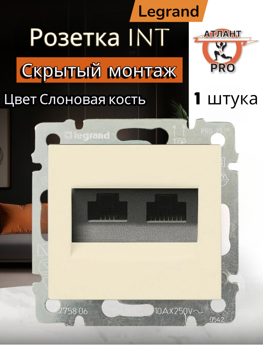 4131/4231 Розетка INT 2 1шт слоновая кость