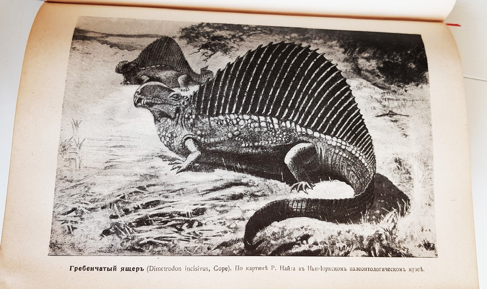 "Эволюция мира. Werden und vergehen. Том 2". Карус Штерне. 1909 г.