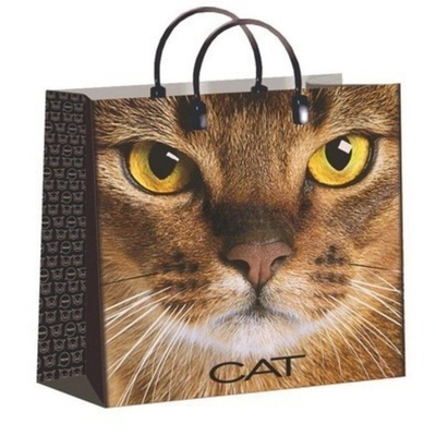 Пакет мягкий пластик 30х30 (150 мкм) "Кэт" лам. (10/40 шт.) Интерпак