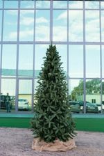 Большая елка «Европейская» (Литая+пвх) 5 м