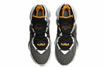 Кроссовки Nike Lebron 19 Ep "Hardwood Classic" Tpu